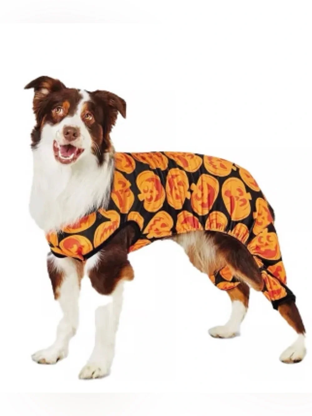 Hyde and Eek Dog/Cat Pumpkin Print Full-Body Pajama - S - New